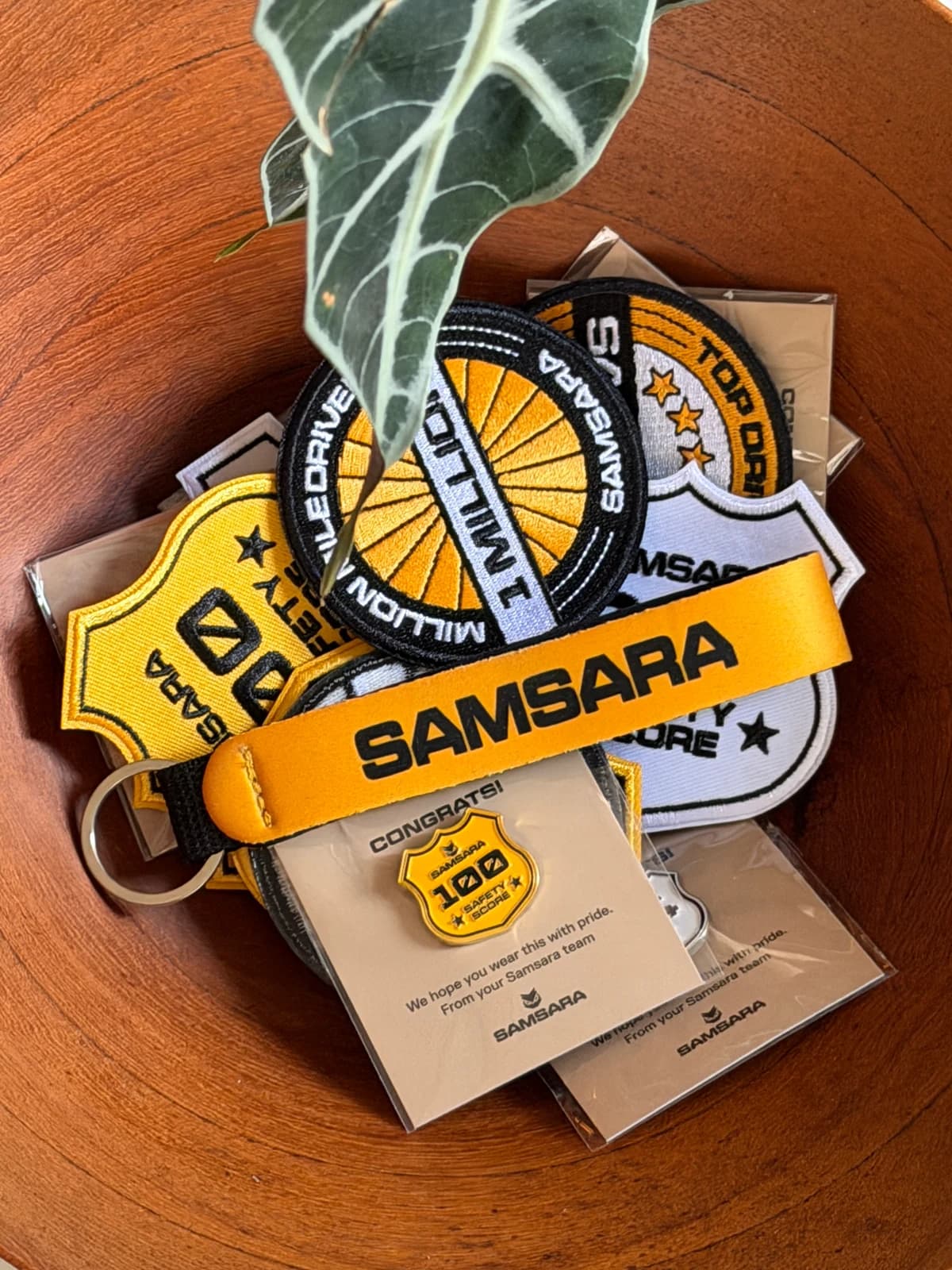 Samsara recognition details