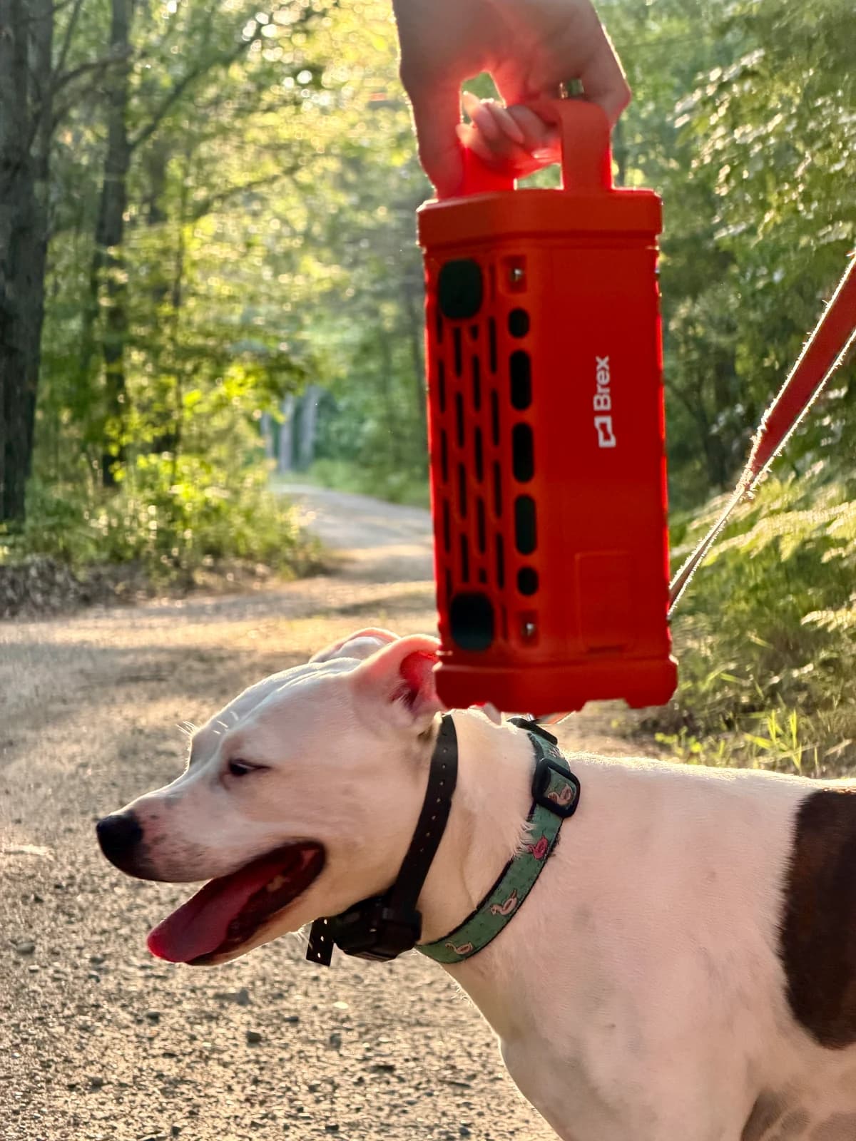 Brex speaker outdoors